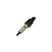 Blazer 110P SPARK PLUG