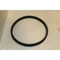 Arctica Drive Belt - PBC1627XL